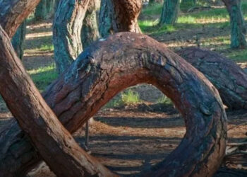 5 rejtélyes hely a Földön, amit a tudósok nem tudnak megmagyarázni