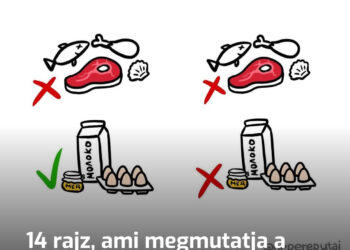14 rajz, ami megmutatja a különbséget az emberek által gyakran összetévesztett tárgyak és dolgok között