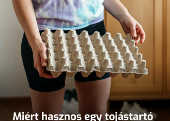 Miért hasznos egy tojástartó az előszobában? Egy ismerősömnél láttam ezt a trükköt