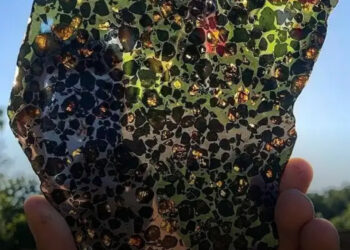 16 ritkaság, amit a legtöbb ember soha nem látott