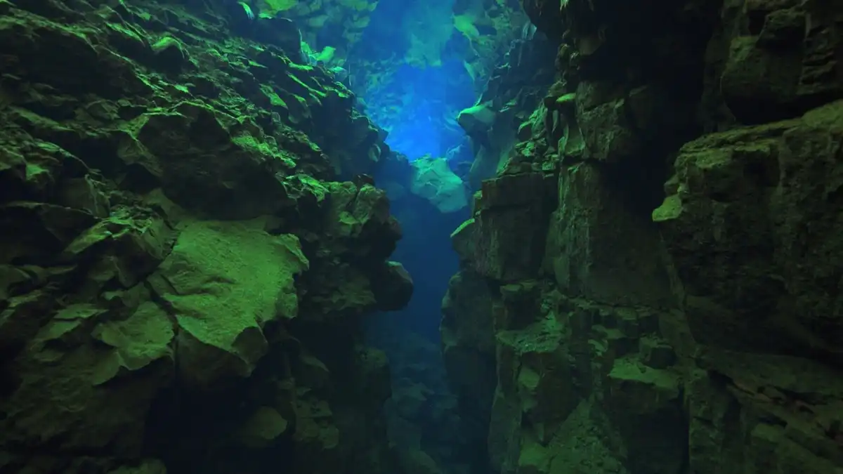 biolumineszcencia, Föld vize eredete, galéria, kardszárnyú delfin, megmagyarázhatatlan jelenségek, óceán rejtélyei, óceáni hangok, óceáni műanyagszennyezés, tengerbiológia, tengerfenék kutatás, Yonaguni emlékmű