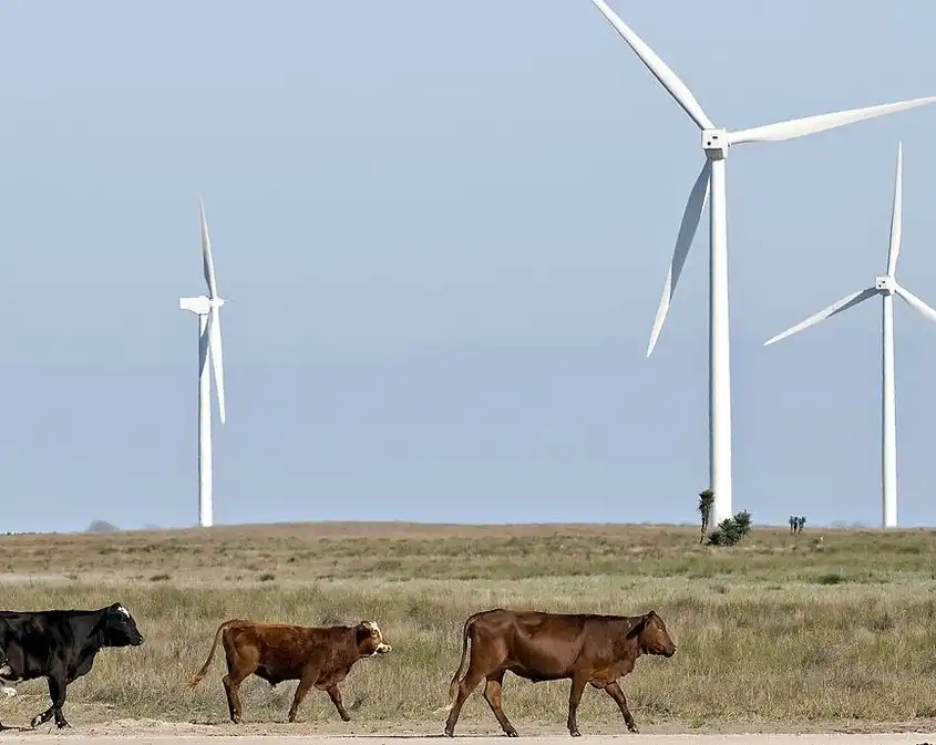 Dilemma, energia, fenntarthatóság, hatás, környezetvédelem, Ökológia, szélerőmű, technológia, természet, vadvilág