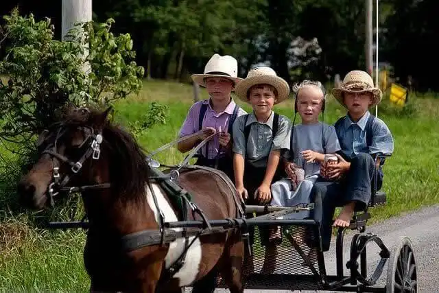 amerika, amish, Életmód, hagyomány, közösség, Kultúra, szokások, technológia, vallás