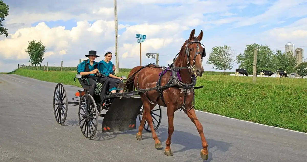 amerika, amish, Életmód, hagyomány, közösség, Kultúra, szokások, technológia, vallás