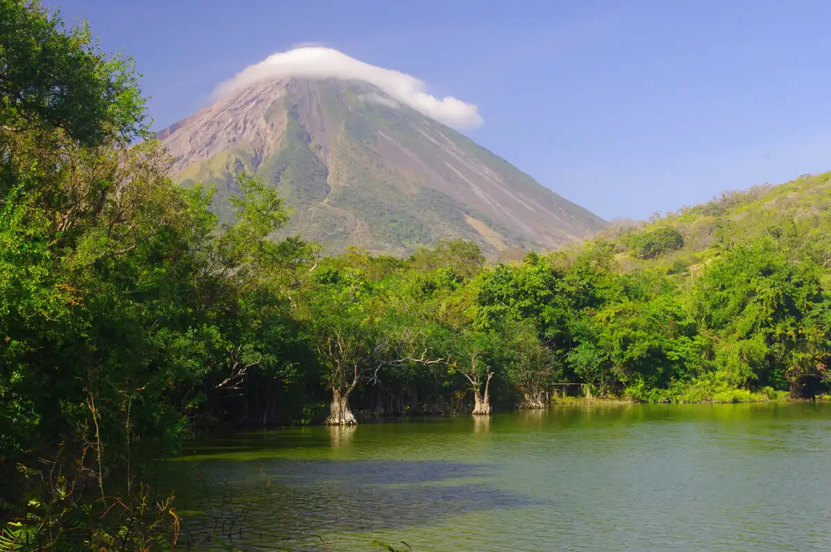 adaptáció, állat, cápa, édesvíz, különleges, Nicaragua, ragadozó, természet, tó, veszély