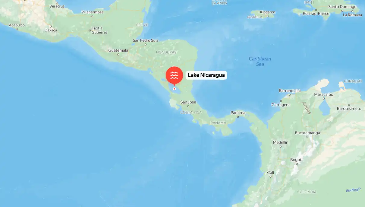adaptáció, állat, cápa, édesvíz, különleges, Nicaragua, ragadozó, természet, tó, veszély