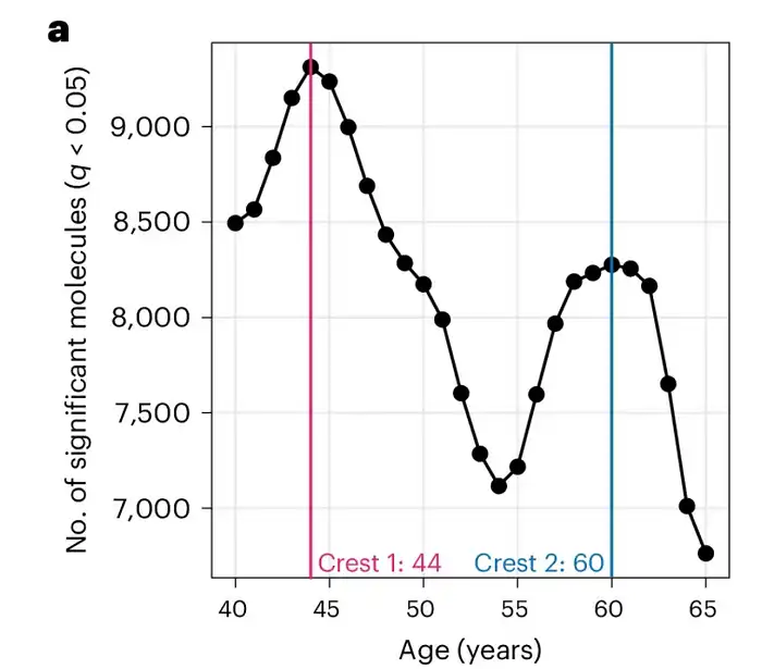 egészség, Egyensúly, Életkor, fitnesz, kutatás, Mérés, Öregedés, Prevenció, test, Vitalitás