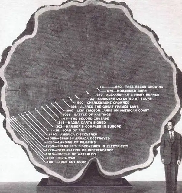 anatómia, Belső szerkezet, Érdekességek, Keresztmetszetek, Meglepő látvány, Rejtett szépség, tárgyak belseje, Technológia belülről, természet csodái, Világ működése