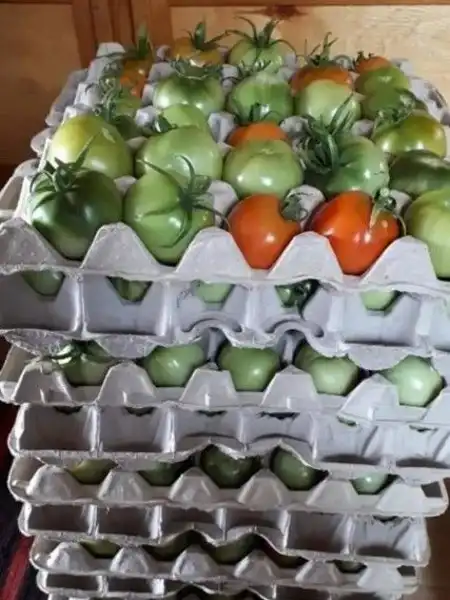 dekoráció, DIY, inspiráció, kert, kreatív, Kültér, Ötletek, otthon, praktikus, Újrahasznosítás