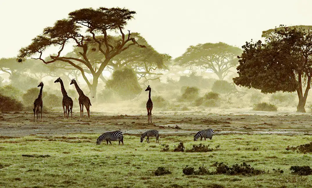 afrika, Élővilág, földrajz, klímaváltozás, sivatag, Szahara, Tavak, természet, UNESCO, víz