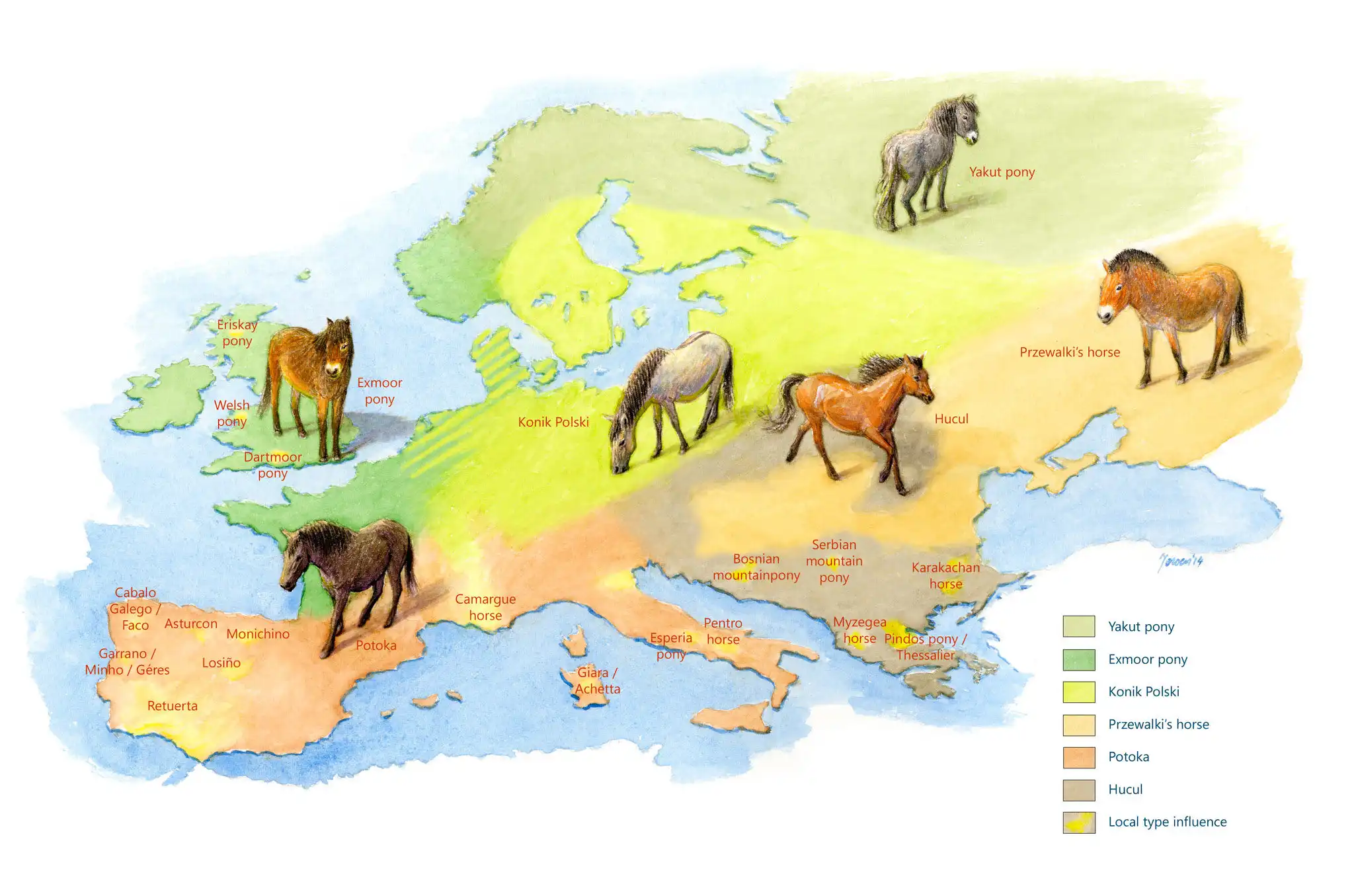 Állatvédelem, Háziasítás, ló, Pata, Patkó, Patkolás, szimbólum, technológia, természet, történelem