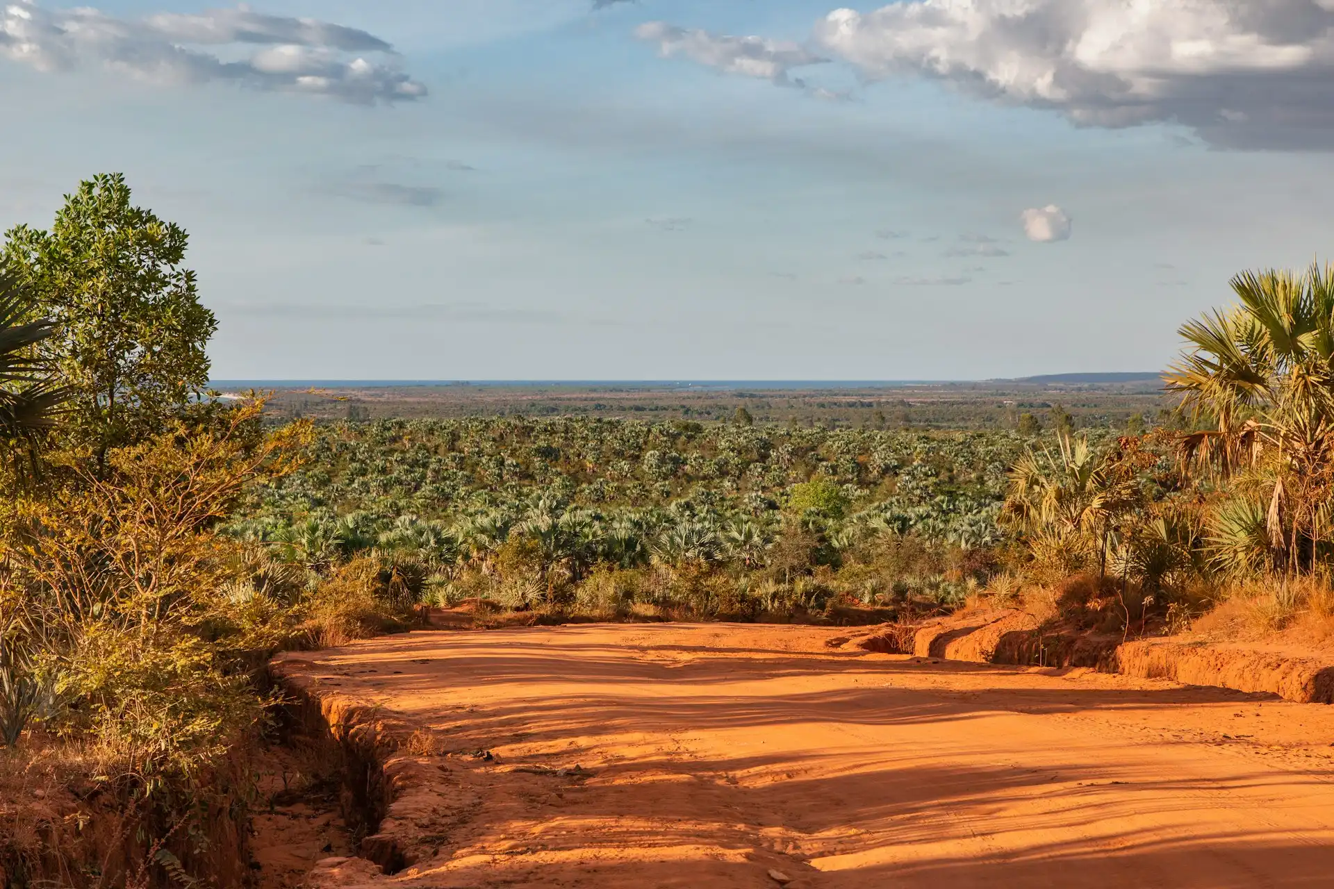 afrika, Éghajlat, Élővilág, földrajz, Gazdaság, Kultúra, Madagaszkár, népesség, sziget, történelem