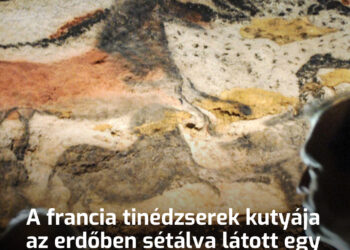 A francia tinédzserek kutyája az erdőben sétálva látott egy lyukat a földben, és belemászott. Így fedezték fel a legcsodálatosabb barlangot