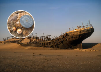 Egy 500 éve eltűnt hajót találtak a namíbiai sivatag közepén