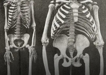 20+ lenyűgöző fotótény, amit első látásra nehéz elhinni