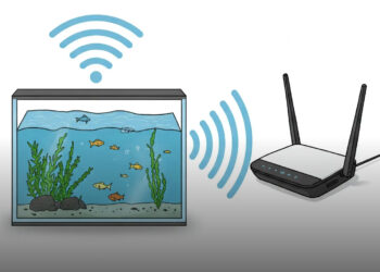 Milyen dolgokat és tárgyakat nem szabad a Wi-Fi router közelében tartani?