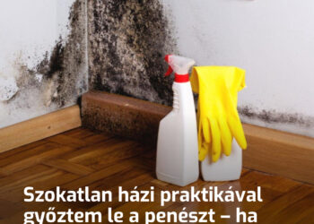 Szokatlan házi praktikával győztem le a penészt – ha korábban tudtam volna, nem szórtam volna el annyi pénzt a boltban