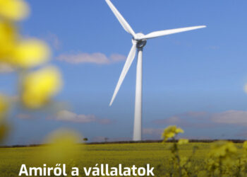 Amiről a vállalatok hallgatnak: miért hal ki a természet a szélerőművek körül?