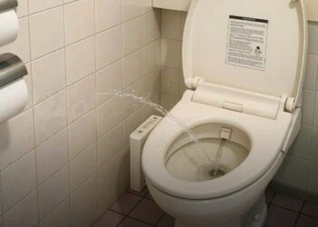 Miért ülnek a japánok fordítva a vécén?