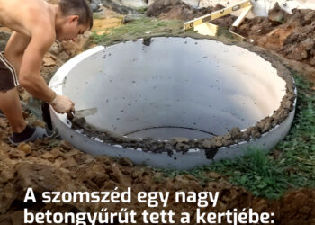 A szomszéd egy nagy betongyűrűt tett a kertjébe: senki sem értette, mire való, míg el nem kezdődött a burkolás. A fickó egy zseni