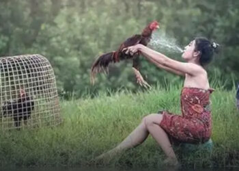 Furcsa képek, amelyekből teljesen hiányzik a logika