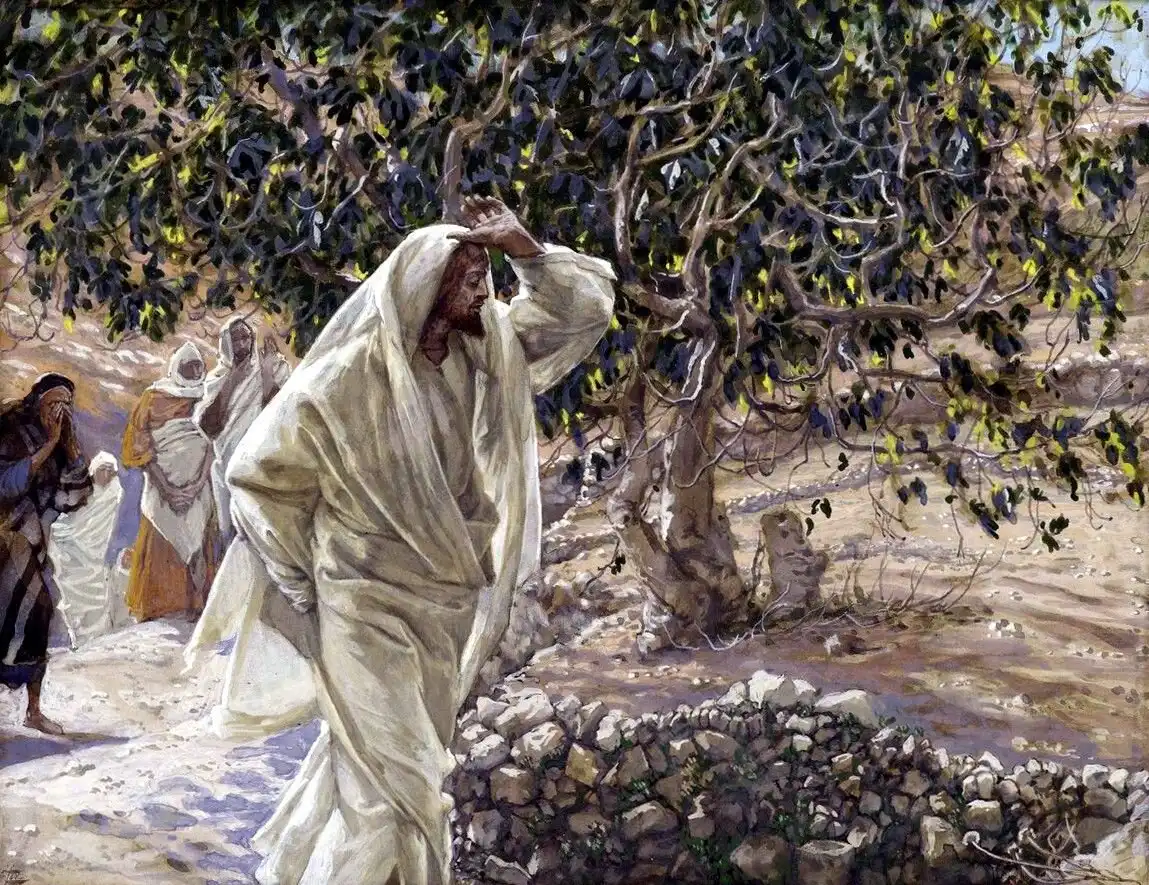 Evangélium, Fügefa, hit, Ítélet, Izrael, Jelkép, Jézus, Képmutatás, Példázat, Terméketlenség