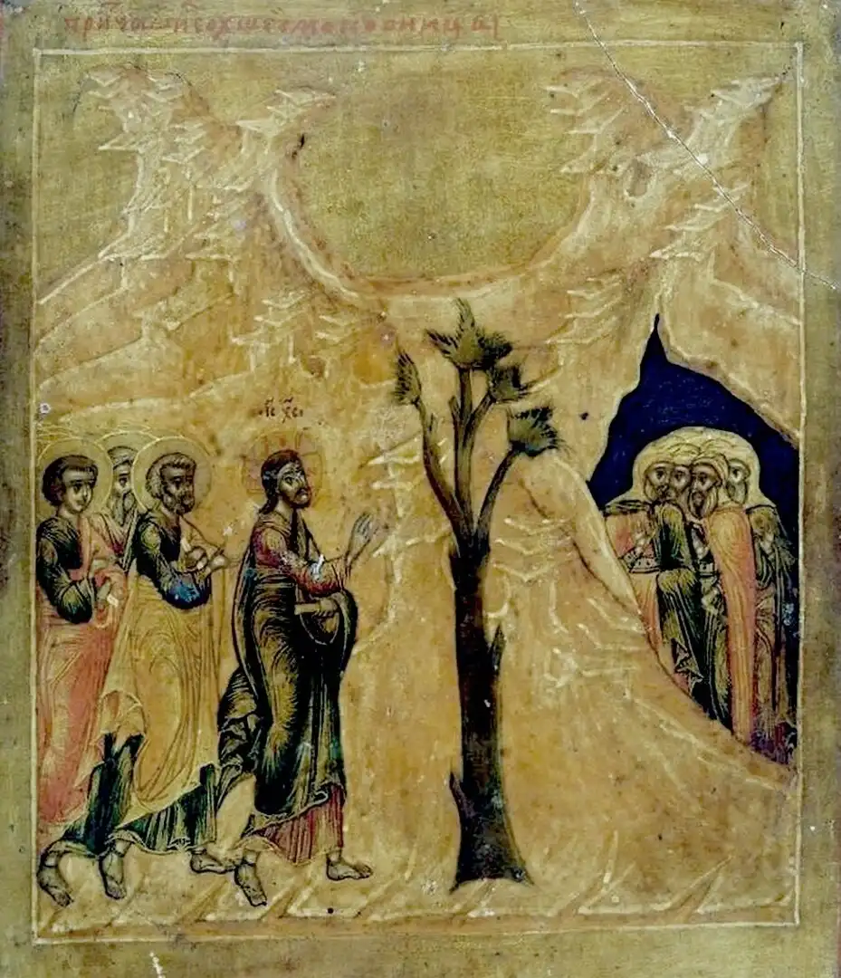 Evangélium, Fügefa, hit, Ítélet, Izrael, Jelkép, Jézus, Képmutatás, Példázat, Terméketlenség