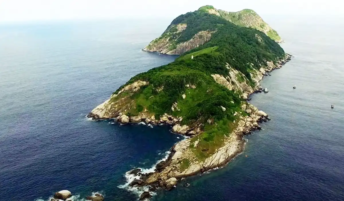 Brazília, kígyók, kockázat, legenda, méreg, sziget, természet, Tiltott, veszély, világítótorony