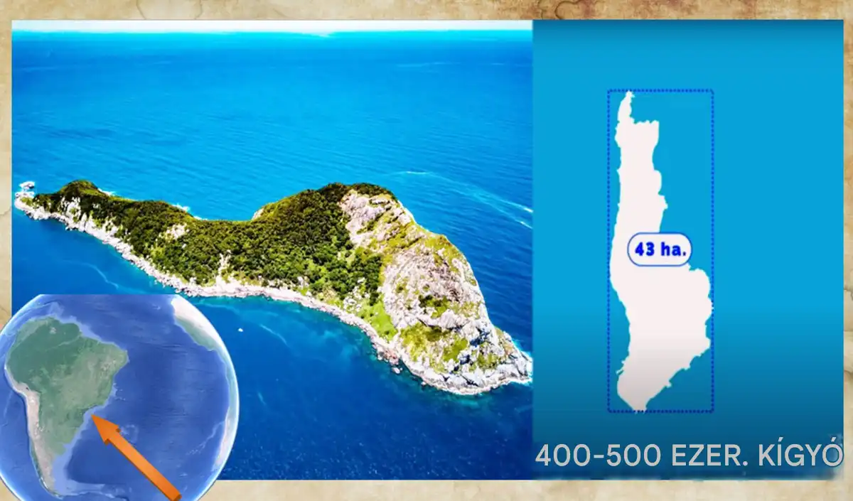 Brazília, kígyók, kockázat, legenda, méreg, sziget, természet, Tiltott, veszély, világítótorony