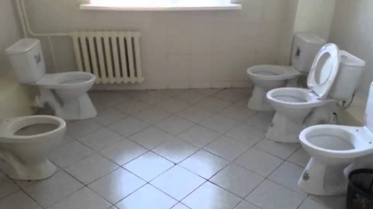 bizarr, dizájn, enteriőr, felújítás, humor, Különös, lakberendezés, otthon, Vécé, vicces