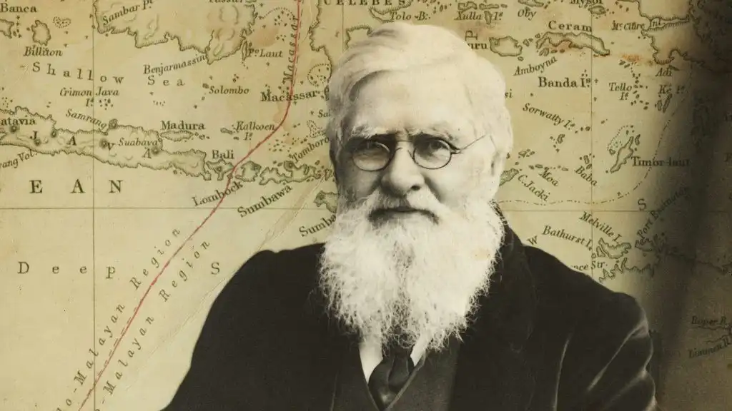 biodiverzitás, biogeográfia, Élővilág, evolúció, felfedezés, lemeztektonika, Ökoszisztéma, Szigetek, tudomány, Wallace-vonal