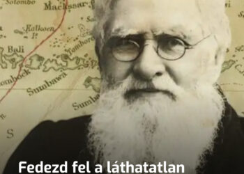 Fedezd fel a láthatatlan határt: Miért tartják tiszteletben az állatok a Wallace-vonalat?