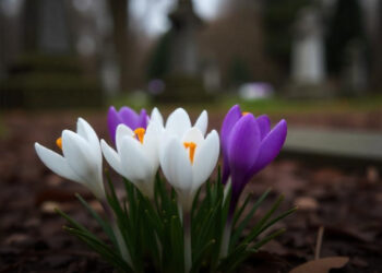 Ismerd meg a halál utáni testi változásokat, amelyek meg fognak lepni