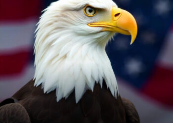 12 hihetetlen amerikai szokás, amit nem fogsz elhinni