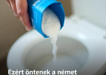 A német háziasszonyok titka: só a WC-be a vendégek érkezése előtt