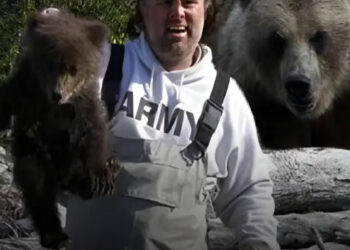 5 férfi, akik halálukkal kiérdemelték a Darwin-díjat