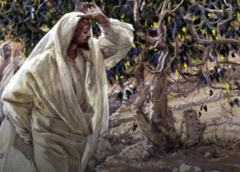 A fügefa, amit Jézus megátkozott – és az üzenet, amit rejteget!