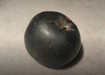 16 kép, ami felfedi, milyen meglepő lehet a végkimenetel, ha…