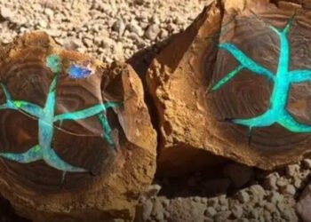 20+ fotó, melyek révén 5 perc alatt új megvilágításba helyezheted a világot