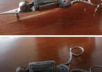 14 furcsa tárgy, amit senki sem ismert fel elsőre – de aztán jött a megvilágosodás