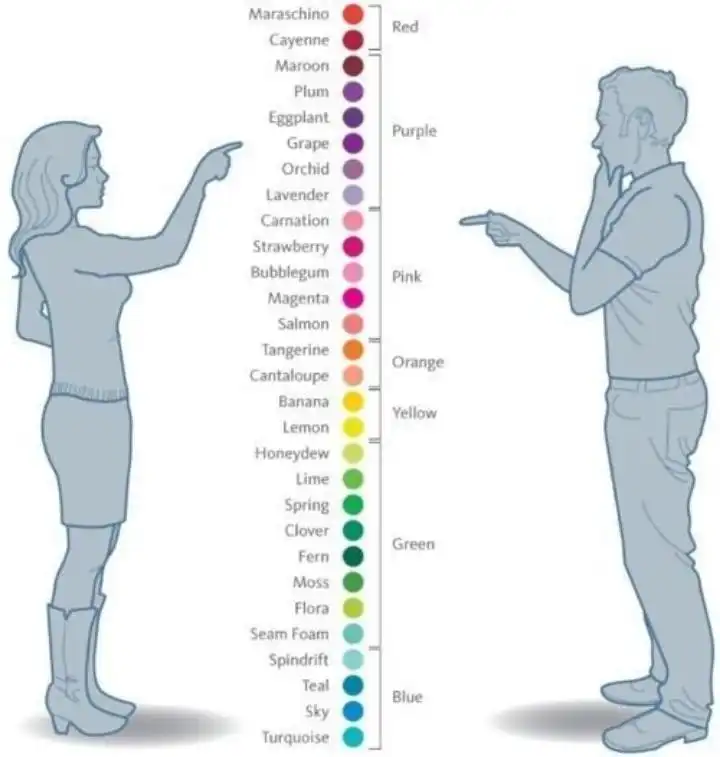 agy, biológia, egészség, evolúció, genetika, hormonok, különbségek, nők, pszichológia, tudomány