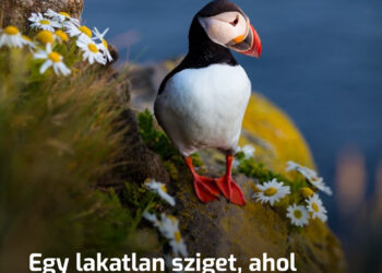 Egy tiltott sziget az óceán közepén, amelyet csak messziről lehet figyelni. Vajon miért?