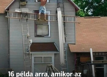 Amikor az emberi ész csődöt mond: 16 abszurd pillanat, amit nehéz ép ésszel felfogni