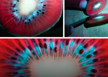 19 példa arra, hogy a megszokott dolgok is lehetnek bámulatosak