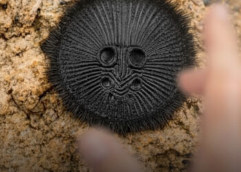 Semmi esetre se vedd fel a földről, ha ilyen „érmét” találsz Ázsiában. Mi ez?