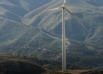 A szélerőművek árnyoldala: miért pusztul a természet körülöttük?