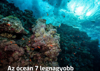 A mélység titkai: 7 megoldatlan óceáni rejtély