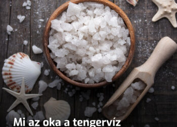 A pofon egyszerű kérdés, amire kevesen tudják a választ: Miért sós a tengervíz?