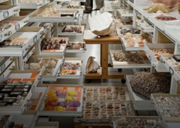 Fedezd fel a hétköznapi dolgok szokatlan oldalát 15 fotón keresztül