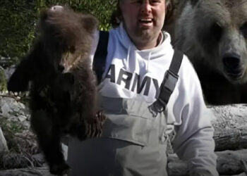 5 férfi, akik abszurd halálukkal kiérdemelték a Darwin-díjat